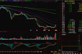 岭南股份可转债存重大兑付风险 股债双双跌停图片