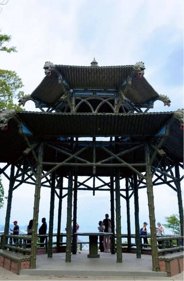 包茂红｜巴西的环境保护