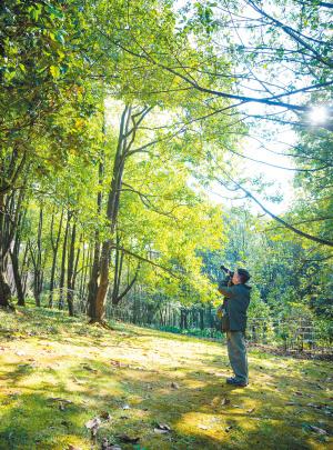 昆明冬日绿意暖