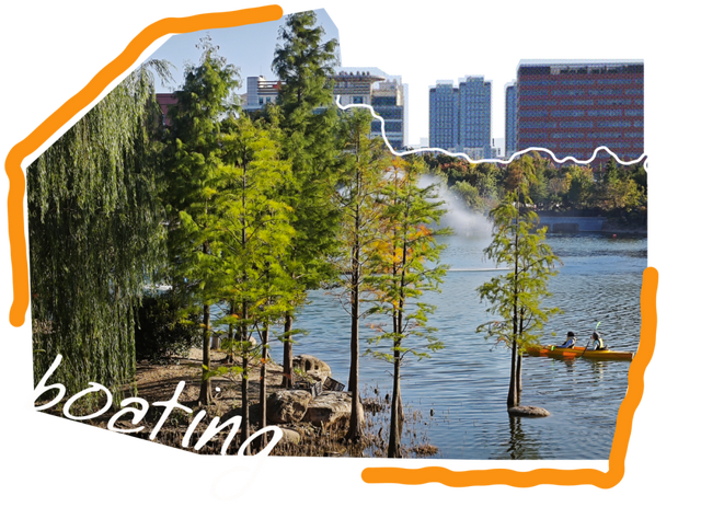 闵行的晚秋，太温柔