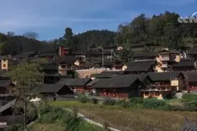 围绕“土特产”做文章 各地特色产业稳步发展图片