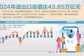 2024年出口规模首破25万亿元图片