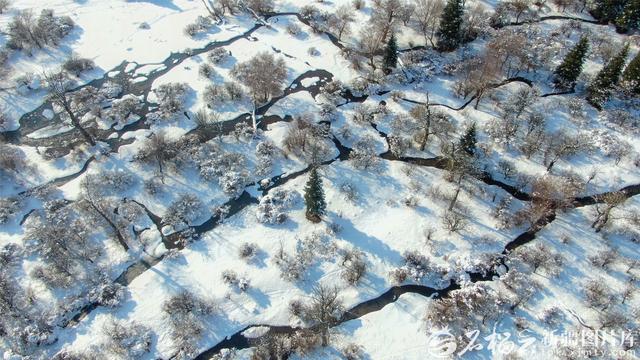 初冬那拉提：雪落成诗，云雾山色演绎中式美学