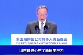 峰会大咖说｜住友商事：山东实施“新质生产力培育三年行动计划” 为跨国公司提供新商机图片