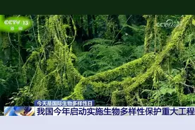 不断擦亮高质量发展“底色” 我国生态系统格局整体稳定并不断优化图片