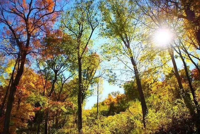 2025保康秋游季，邀您共赏山色如画