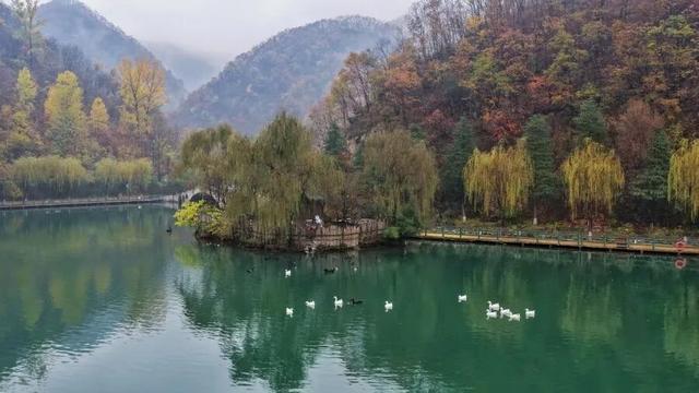 初冬高饱和度美景，还得看洛阳！