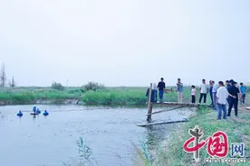 沧海桑田看今朝丨第十四师昆玉市：沙漠里养出罗非鱼图片