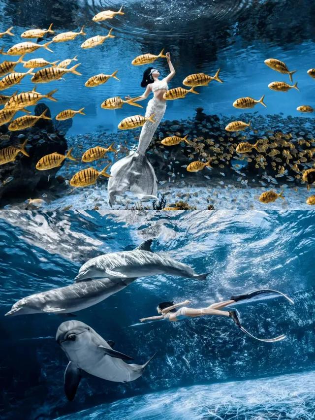 海南海洋欢乐世界入选2025海南研学旅游基地品质提升十佳示范点