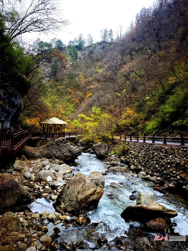 秋染官鹅沟 醉在山水间
