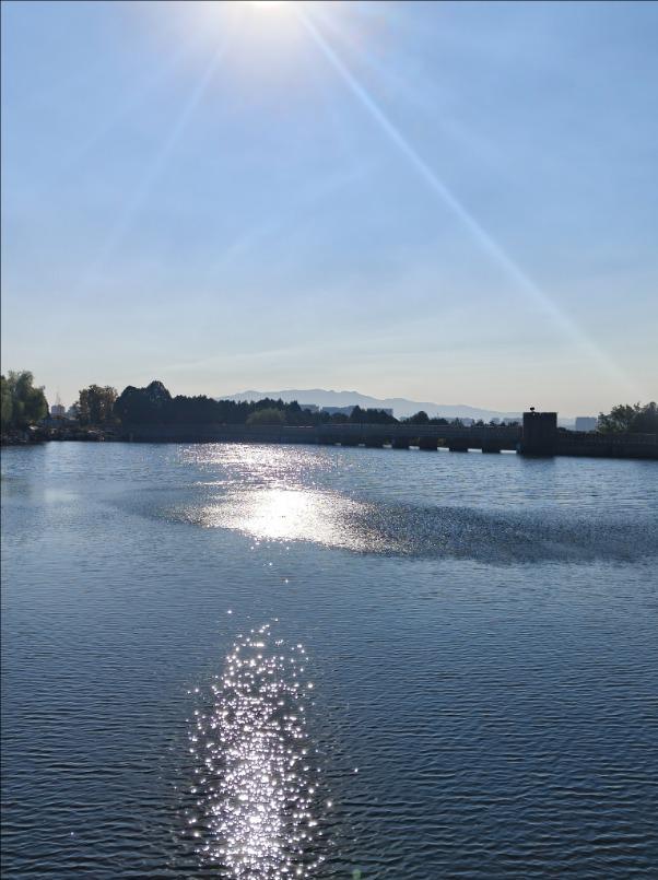 彩林映湖光 泰山虎山公园初冬画卷引客来