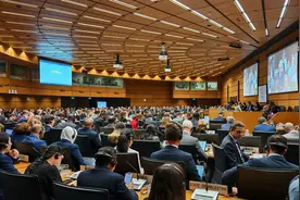 国际原子能机构就以色列袭击伊朗核设施问题举行特别会议图片