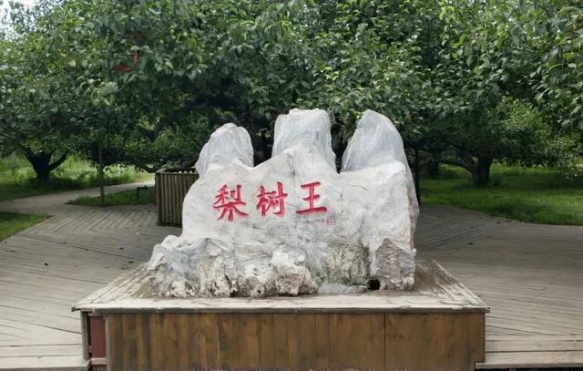 双节在宿州玩什么？看这一篇就搞定！
