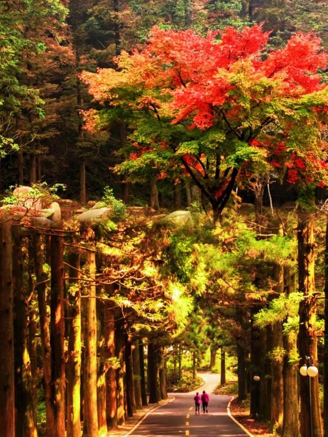 跟着课本游赣鄱！