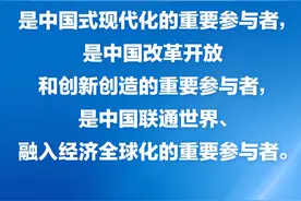 习近平：中国是有利于外资企业投资兴业的一方沃土图片