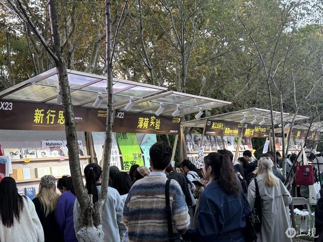 阳光正好，风很温柔，上海的秋天，阅读让人怦然心动