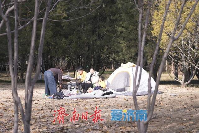 一年四季 泉在济南丨济南初冬暖阳送暖 市民户外乐享晴好