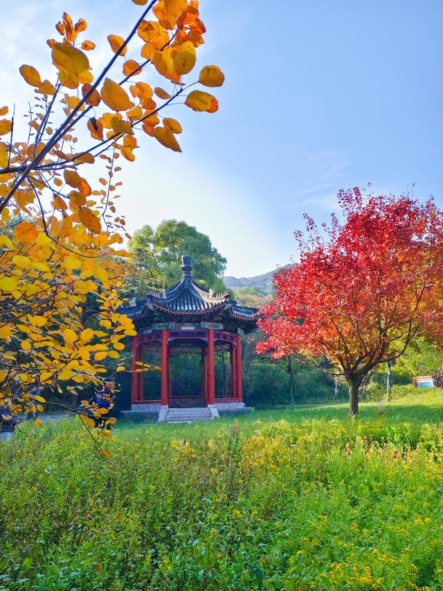 半城古典，半城浪漫！一叶知秋，一框载古今