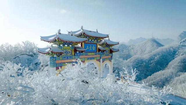 天呐，洛阳的这份「反差感」，绝了！