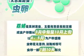 衣服上有14颗绿色小颗粒 人“麻”了，这竟是虫卵？岭南的小伙伴，承受太多了！图片