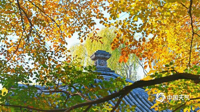 秋到颐和园 藏在皇家园林里的限定美景