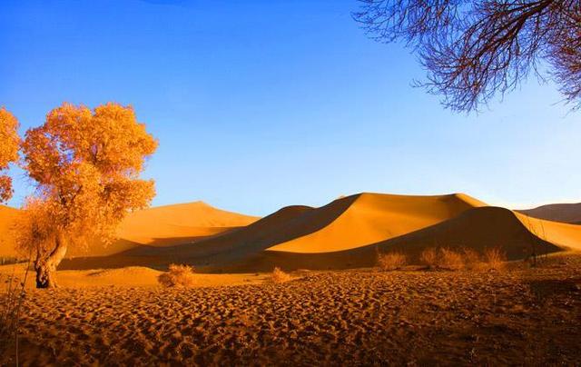 多地国庆长假花式“宠客”：外地车只纠违不罚款，停车场和公交车全免费，机关食堂对外开放
