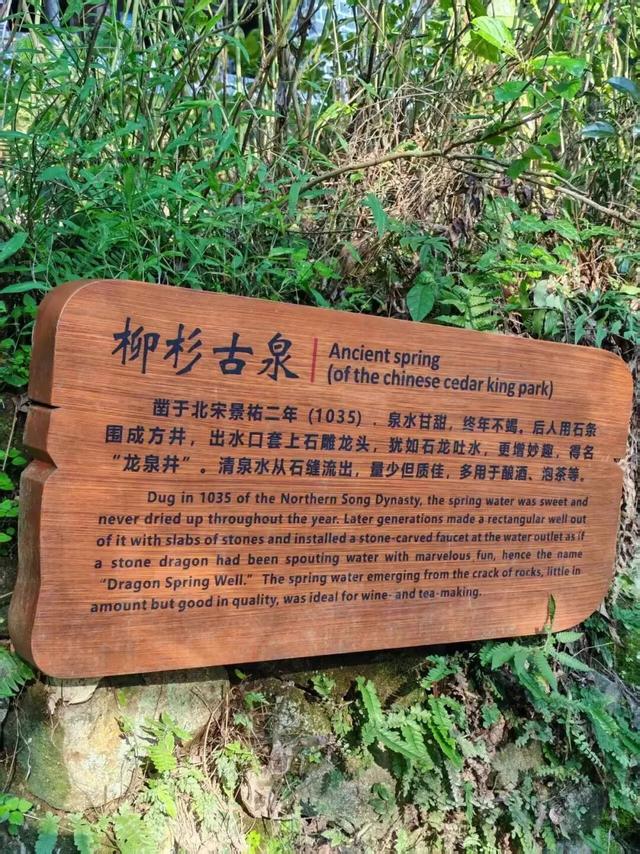 一起“森”呼吸！假期在福州开启绿野仙踪副本