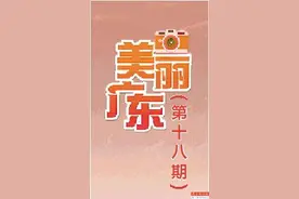 丹霞华盾蛛 体长不足2毫米图片