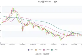 ST八菱：2024年上半年净利润3088.86万元 同比增长98.62%图片