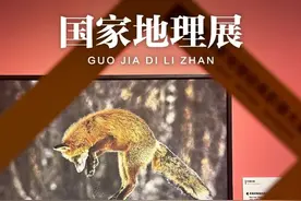 近期超火的“国家地理经典影像大展”还没看？这里有免费门票等你领图片