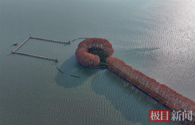“金汤勺”舀动东湖碧波，原来是大自然在喂你一口深秋