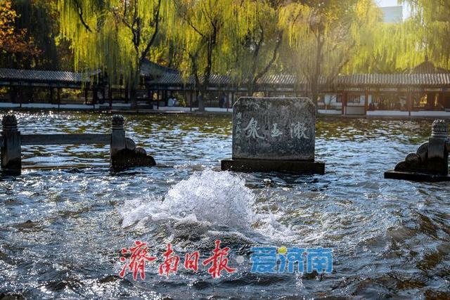 济南泉景再添彩！墨泉、梅花泉、漱玉泉争相喷涌，市民赏泉络绎不绝
