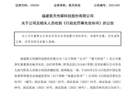 离谱！这家上市公司对抗监管检查，审计机构还帮忙搅混水图片