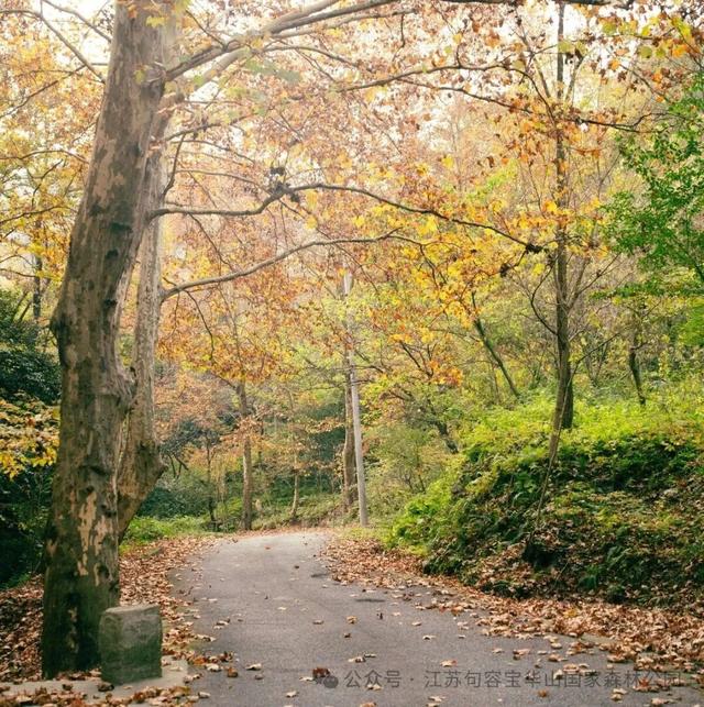 跨年元旦来句容！狂欢攻略请收好