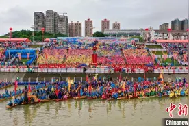 2024年怀化传统龙舟赛沅陵赛区开赛 43条龙舟挥桨竞渡图片