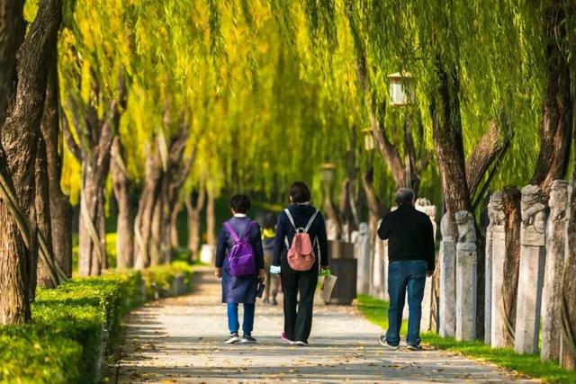 会“呼吸”的城市商业形态，正在曲江蓬勃生长！