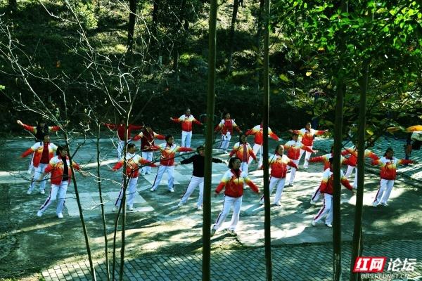 怀化中坡山，层林尽染的氧吧，市民天天逛、摄影家追着拍