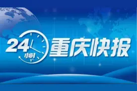 重庆曾率先展开试点｜老虎追咬游客车图片