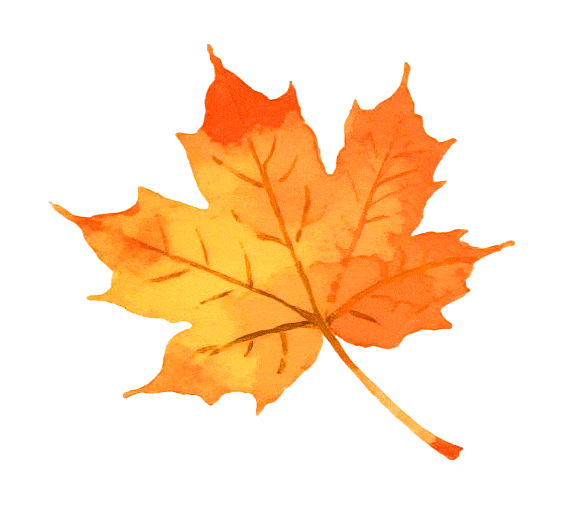 秋冬游资源！雾凇染丹霞，油茶暖红韵，这趟桂北秘境之旅很治愈