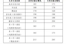 2024年山东艺术类统考合格线公布！书法类188分、舞蹈类170分图片
