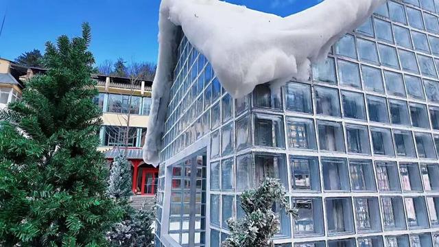 今年跨年怎么玩儿？一起勇闯白云山！