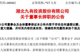 A股又现“95后”掌门人！原董事长，突然辞职！图片