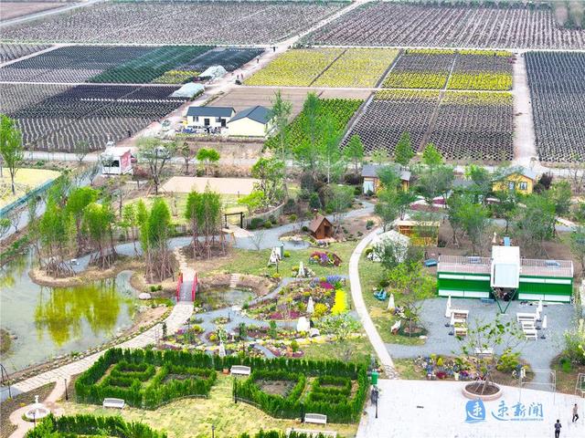 宿迁新闻发布丨遛娃新选择！宿迁5条科普旅游线路即将开放
