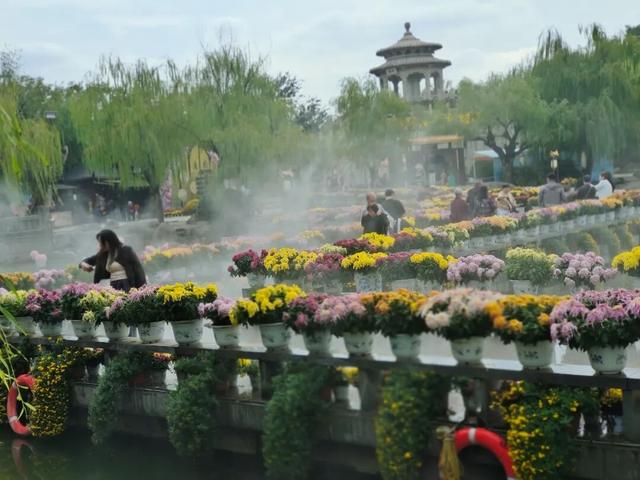 为这朵花，赴一座城→