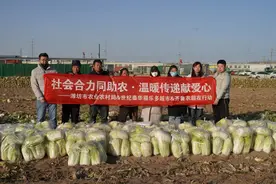 白菜遇上“白菜价”，企业爱心接力解决10吨白菜销路难题图片