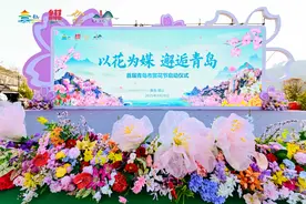 风口评论｜网感场景+裂变传播，“花海经济”点燃青岛文旅消费新引擎图片