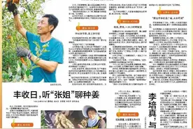 《烟台日报》“歌唱我们的新生活”|莱州：​丰收日，听“张姐”聊种姜图片
