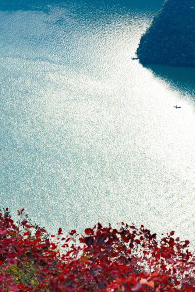 巫峡红透时，才懂中国秋天的壮阔