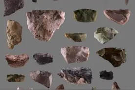 “泥河湾百万年人类印记”展出 专家谈新庙庄遗址为何受关注图片