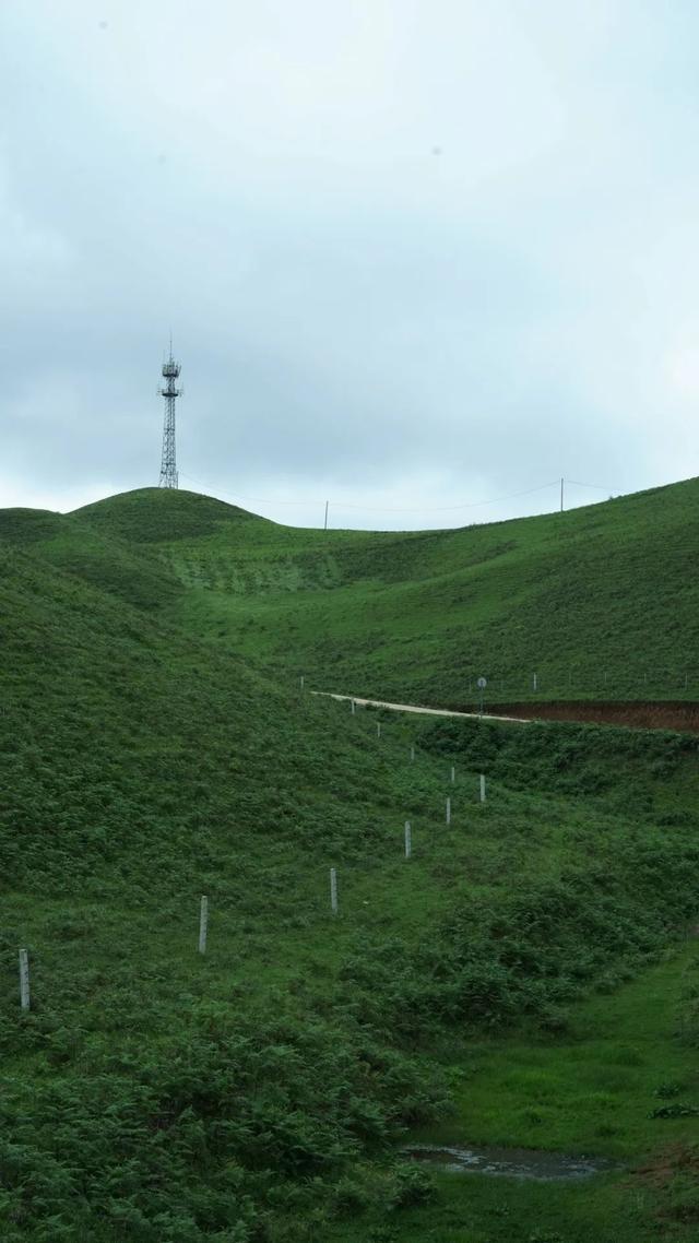 暑假带娃徒步+露营！昆明必去的6个高山草原，凉爽舒心，星空野餐两不误！